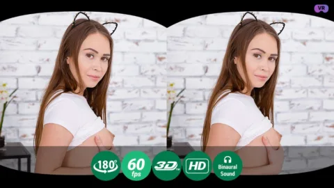 Cat ears on head